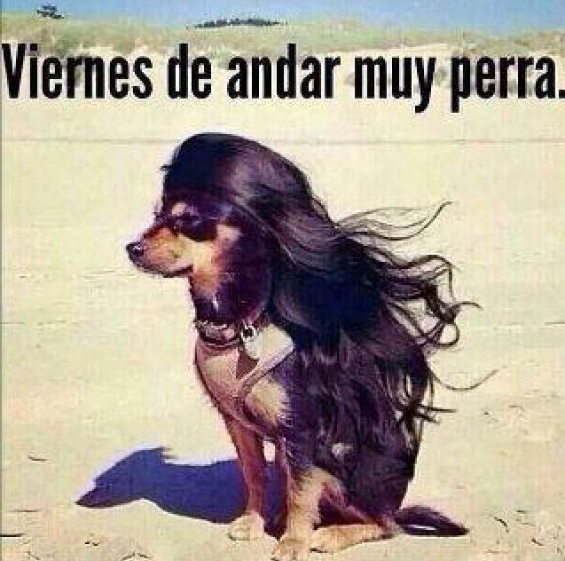 FPSTUDIO2's tweet image. TGIF - enjoy the weekend everyone!