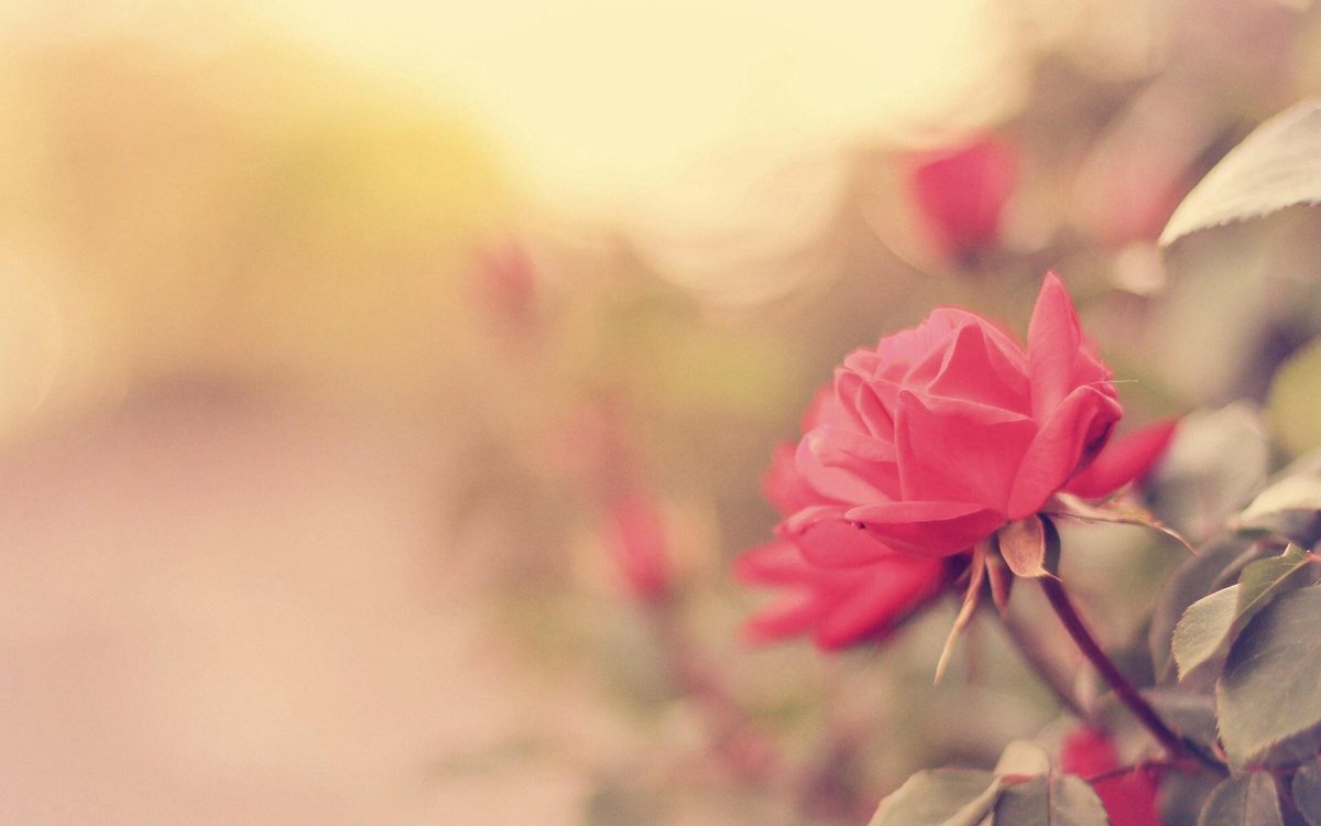 sarihan_aylin's tweet photo. Kadir napiyor sun ....? http://t.co/qqfv11pmby