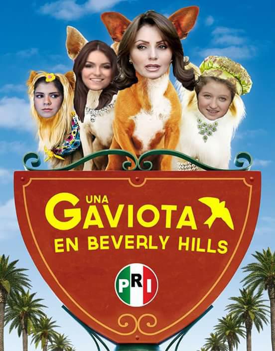 Choch0s_'s tweet photo. LA NUEVA Telenovela de Televisa "Una Gaviota en Beverly Hills" http://t.co/7gF6HXQ3E8
