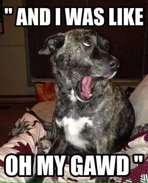 <a href="/McrshallMathers/">E m i n e m</a> <a href="/AndyBVBSF/">Andy Sixx</a>