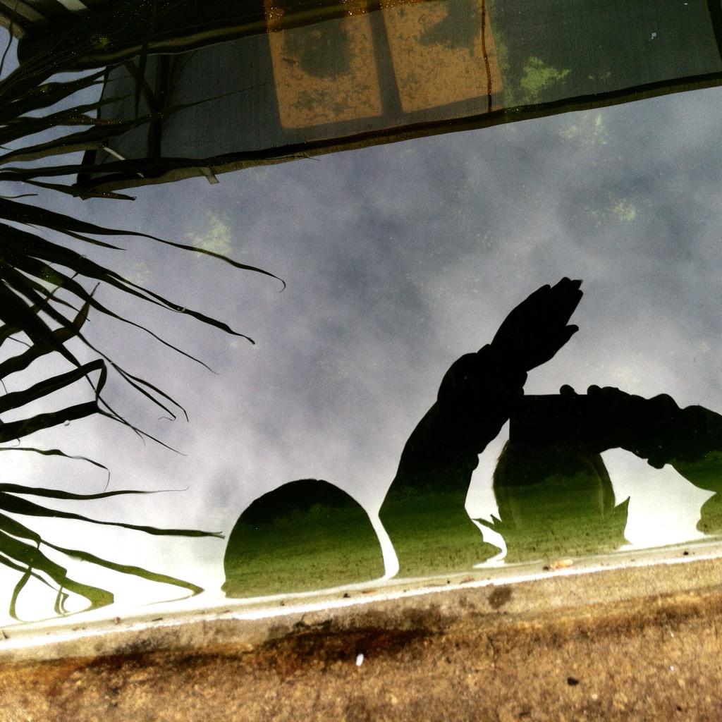 aspiritofplace's tweet photo. a wonderful reflection shot from yesterday's #mobilephotography workshop. by T age 8 @RBGSydney 
#sydney #workshops http://t.co/ESvBSwHWzW