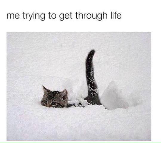 EberMyrick's tweet photo. I think all of us can relate to this,....and laugh at it http://t.co/UPPAXYSA4J