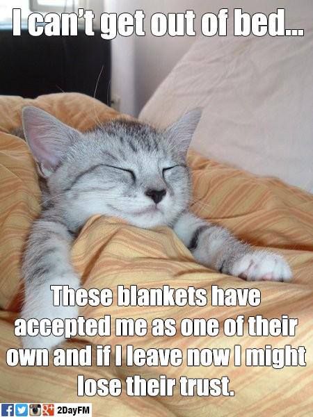 EberMyrick's tweet photo. EVERYBODY EVERY MORNING http://t.co/LjGLJlJz5Z