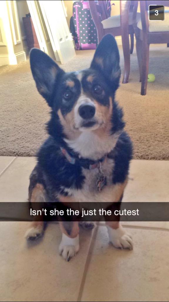 Snapsfromben tweet picture