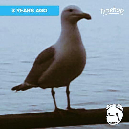 IAmGabeGriego's tweet photo. Exactly 3 years ago today! via @timehop  http://t.co/cl8aEO8qBo http://t.co/zyygOXhsmR