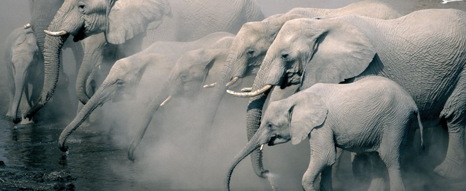 Godwana Collection - an amazing base to explore the beauty of Namibia #hiking #nature gondwana-collection.com/blog/index.php…