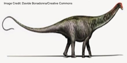 Scientists are now saying the #Brontosaurus did exist: ow.ly/Lt2ps #science
