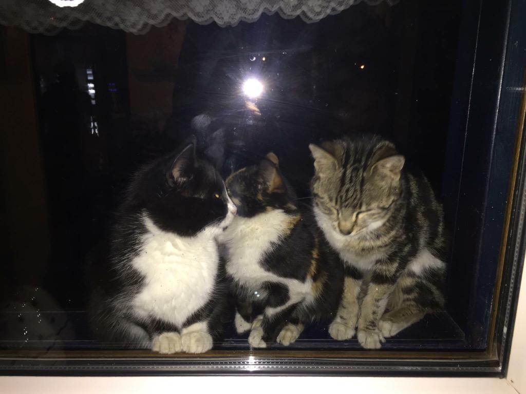 Sayın ÇİĞDEM UYAR ÇÖKMEZ'in ziyarete gelen komşuları.. Hoşgelmişler.. ebru@tepekent.com.tr