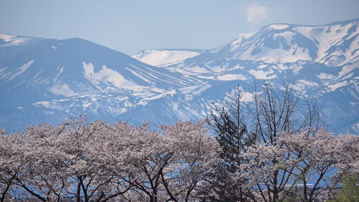 画像を等倍で表示します 画像