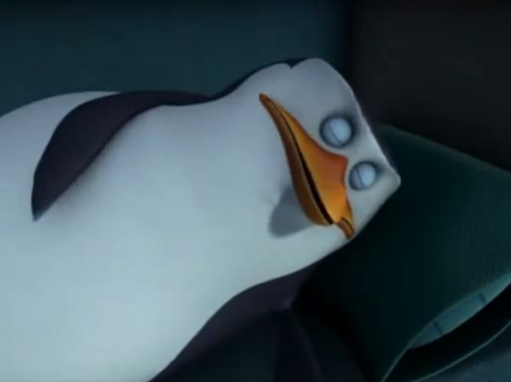 Skipperpinguin's tweet photo. ¡Buenas noches a todos!/ Good Night everybody!!
#savetoPoM http://t.co/jqFZWeKyiq