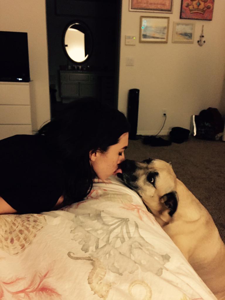 TheRealGrimmie's tweet photo. this dog is my favorite dog http://t.co/75Oi9JizlQ