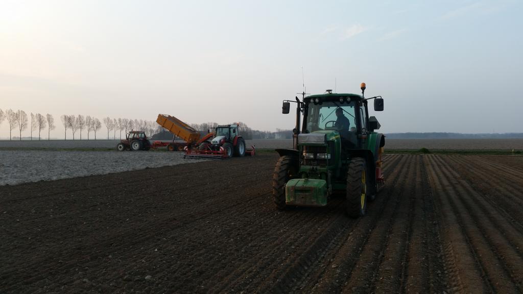 Sjalotten poten <a href="/Gourmetbv/">Gourmet</a>