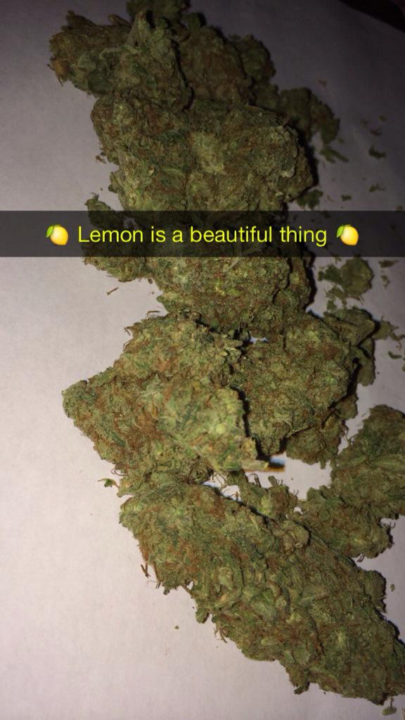 DailyWeedLife tweet picture
