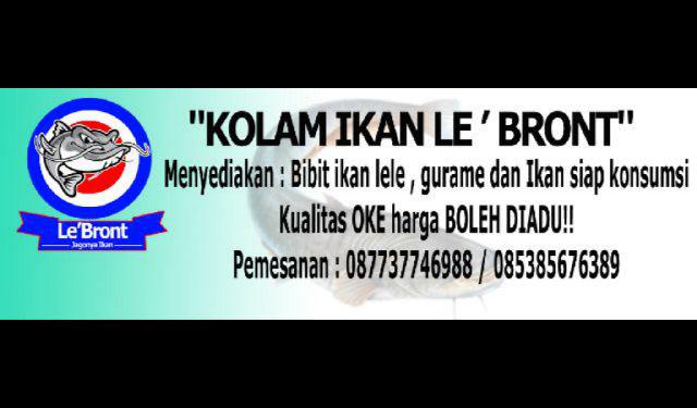 Maria_Ika_Y's tweet photo. Doyan makan ikan? Ato pny usaha bahan dasar ikan?
Stok ikan dr Le'Bront aja recommended!
Bantu RT tadz @Yusuf_Mansur http://t.co/DFAFwIGW6A