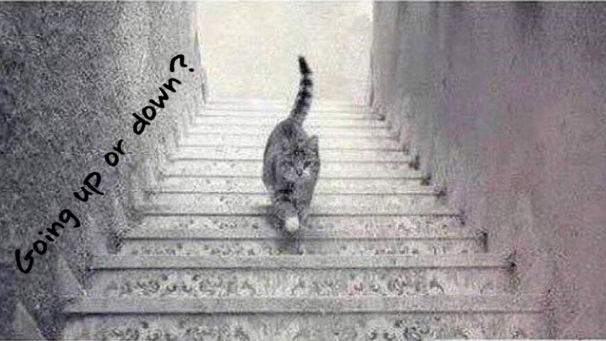 CubbyCode's tweet image. Can you tell?