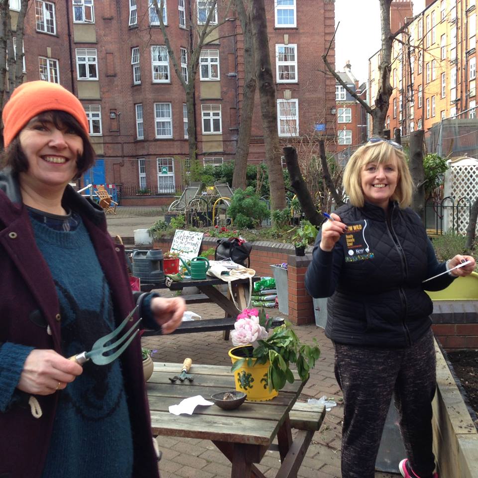 Sunkengarden1's tweet image. @GrowWildEngland @GrowWildUK 
Planting our Grow Wild seeds thanks for sending them!