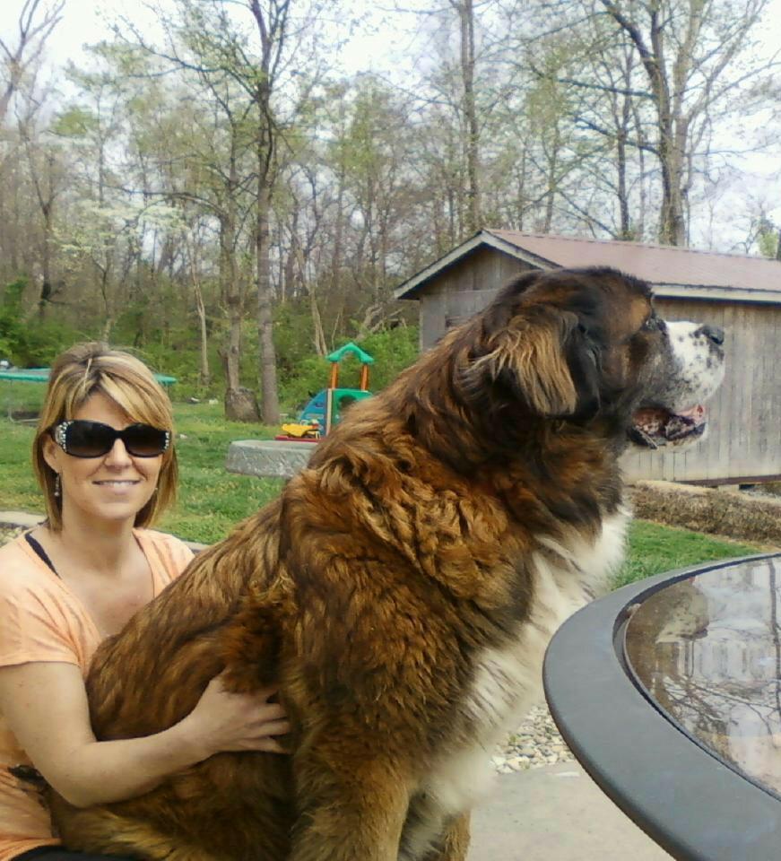 My Lap Dog!