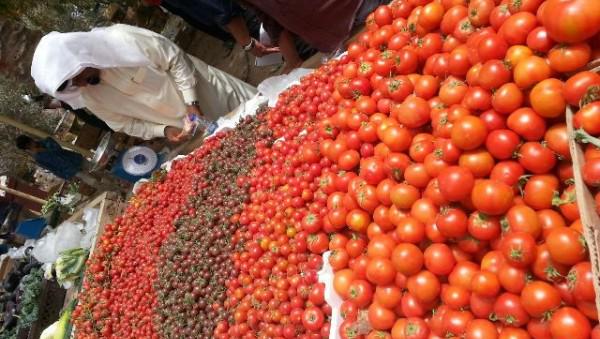 Don't miss #Bahrain farmers market every Saturday!! get the fresh Vegetable, Food Stall, farm Animals Show
