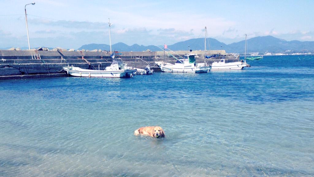 mana__0630's tweet photo. 綺麗 http://t.co/Fe0qN4l78N