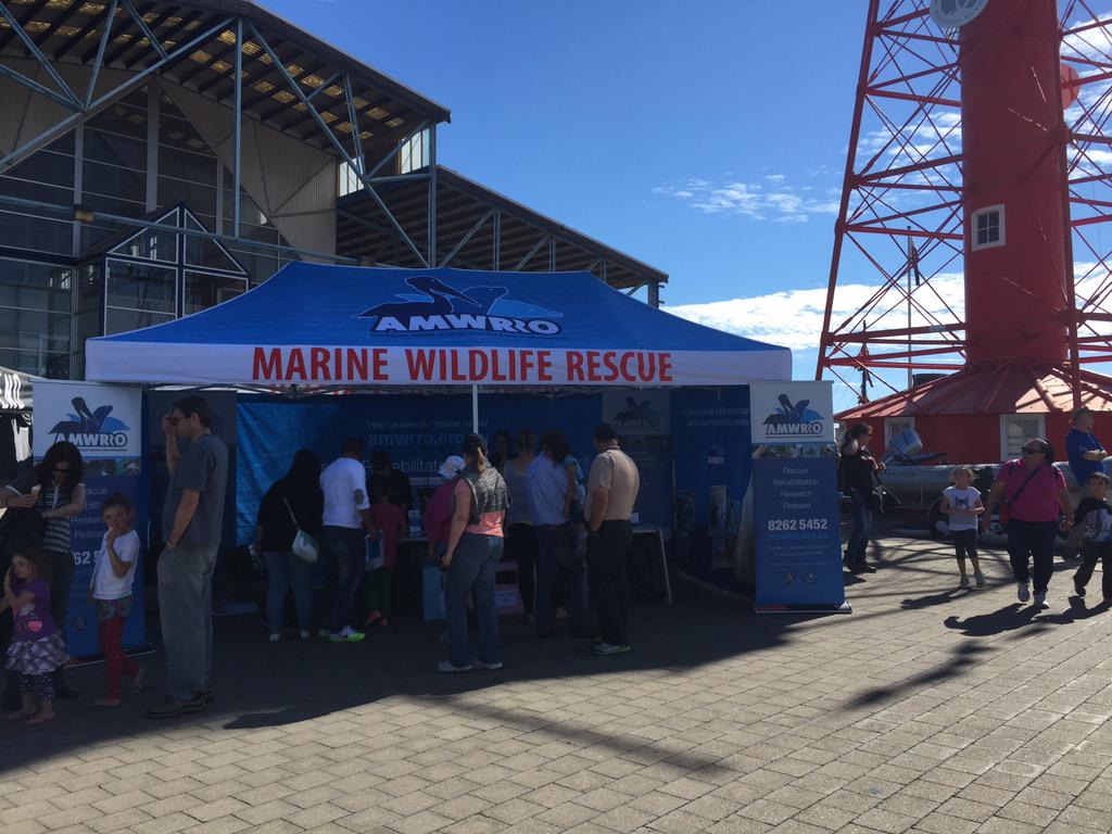 AMWRRO's tweet photo. The fantastic AMWRRO crew manning the marquee at Dolphin Day, Port Adelaide. http://t.co/jPKPxlAAjT