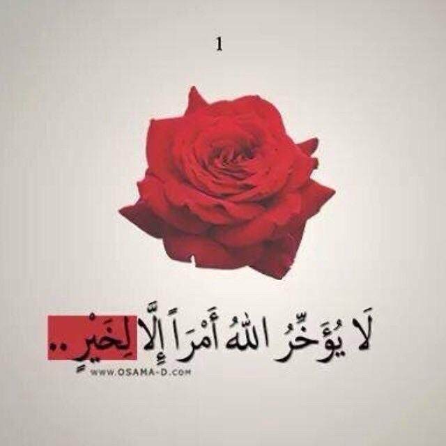 amaran9999 tweet picture