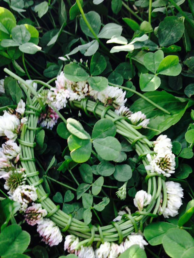 nattu0204's tweet image. 今日はTayMamaが早くよくなるように
四つ葉みつけてきた！！
#PrayforAndreaSwift 
#PrayForMamaSwift