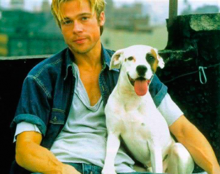 Celebrity_Dog's tweet photo. 8 of the Hottest Hollywood Men Ever Photographed With a Dog | Get Leashed Magazine http://t.co/ZQQ2aBg2nb http://t.co/4y2Cn2T1XB