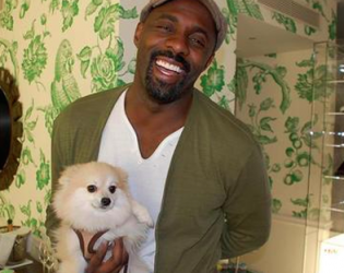 Celebrity_Dog's tweet photo. 8 of the Hottest Hollywood Men Ever Photographed With a Dog | Get Leashed Magazine http://t.co/ZQQ2aBg2nb http://t.co/4y2Cn2T1XB