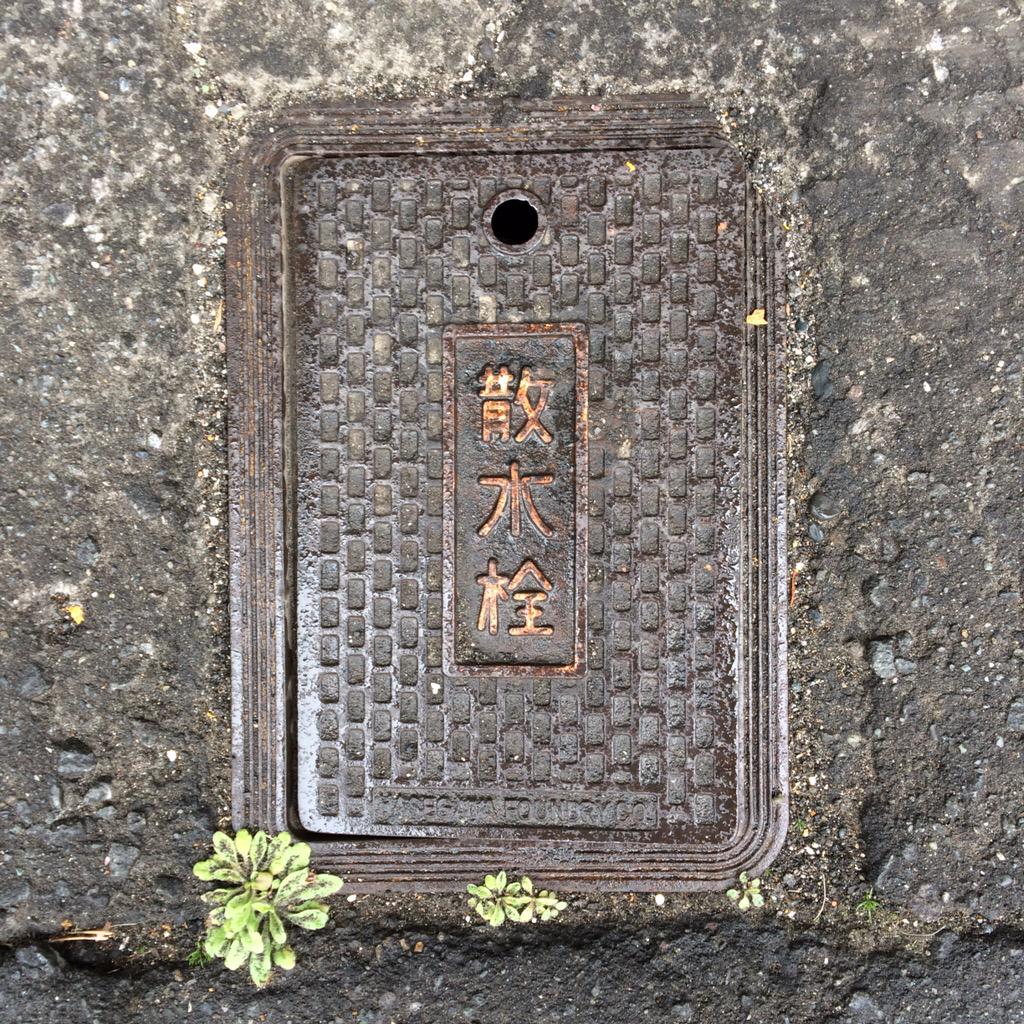 やなぽん على تويتر Manhotalk 消防署シャッター前の散水栓の蓋はお洒落にカラーリングされてた すきまネイチャー のアクセントもまた良し Http T Co U48lbqdewl やなぽん على تويتر Manhotalk 消防署シャッター前の散水栓の蓋はお洒落にカラーリングされてた すきまネイチャー のアクセントもまた良し Http T Co U48lbqdewl