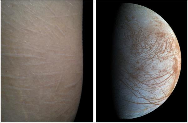 bodycompared's tweet image. 