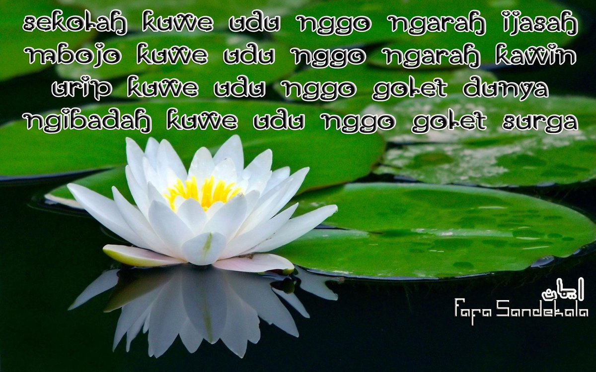 nusantarafafa's tweet photo. ya, beginilah hidup yang memang hidup. http://t.co/dNzXmSkqS3