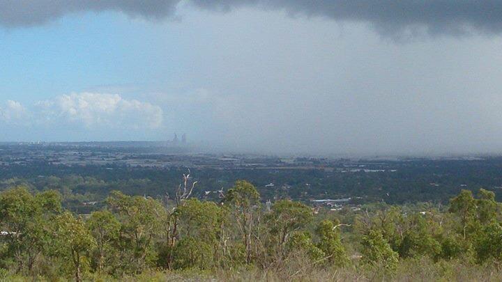 georbyn1's tweet photo. Wonderful walk in our bush #bushwalk #gettingbacktonature http://t.co/j1FTgdcbuH