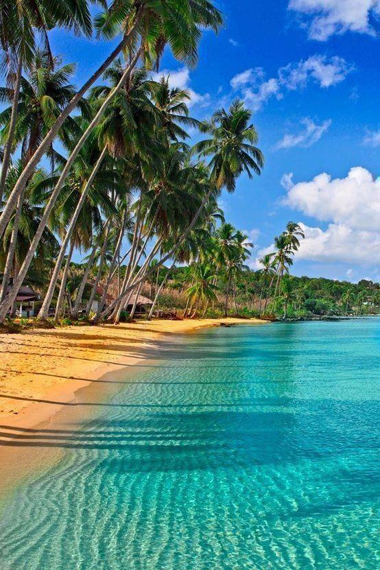 ImagenIncreible's tweet photo. Las playas del Caribe, el rincón perfecto para desconectar. http://t.co/nUZvjp3Ejd