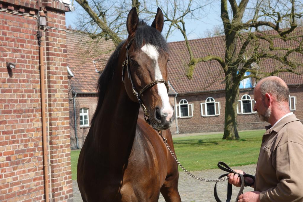 German Racing Review tweet media