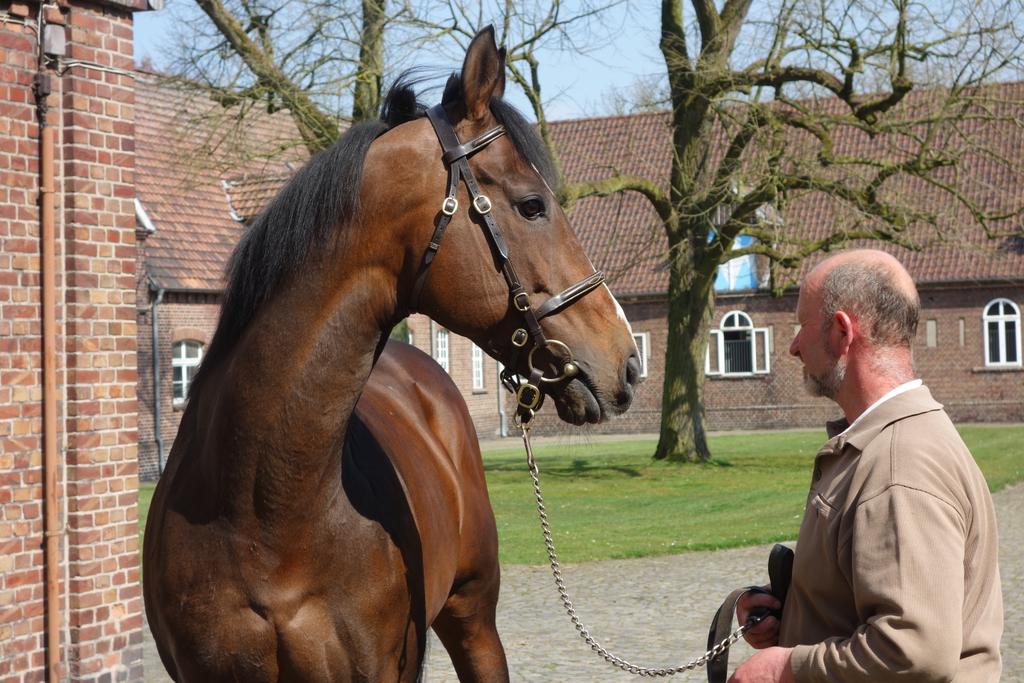 German Racing Review tweet media