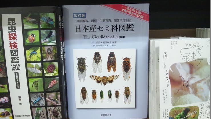 7F理工書】 夏を先取る「改訂版 日本産セミ科図鑑[鳴き声編CD付