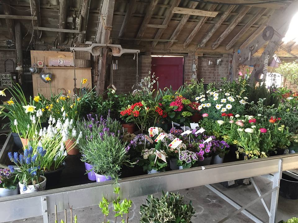 Texeltuinen's tweet photo. Word ook #vrolijk van een gezellige #tuin. Het is er weer tijd voor... #DeHalm http://t.co/nvUkNCbboT