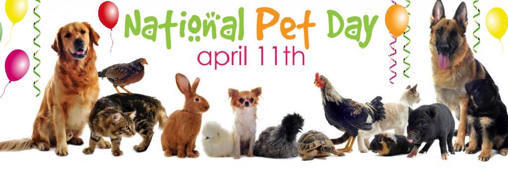 MississaugaAH's tweet photo. Happy National Pet Day!

Celebrate and spoil your pets today!! http://t.co/MTk40LoYEt