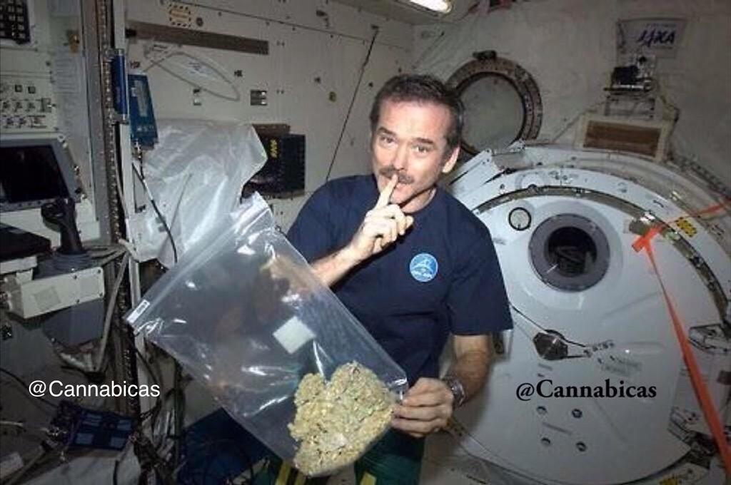 Cannabicas .Org tweet media