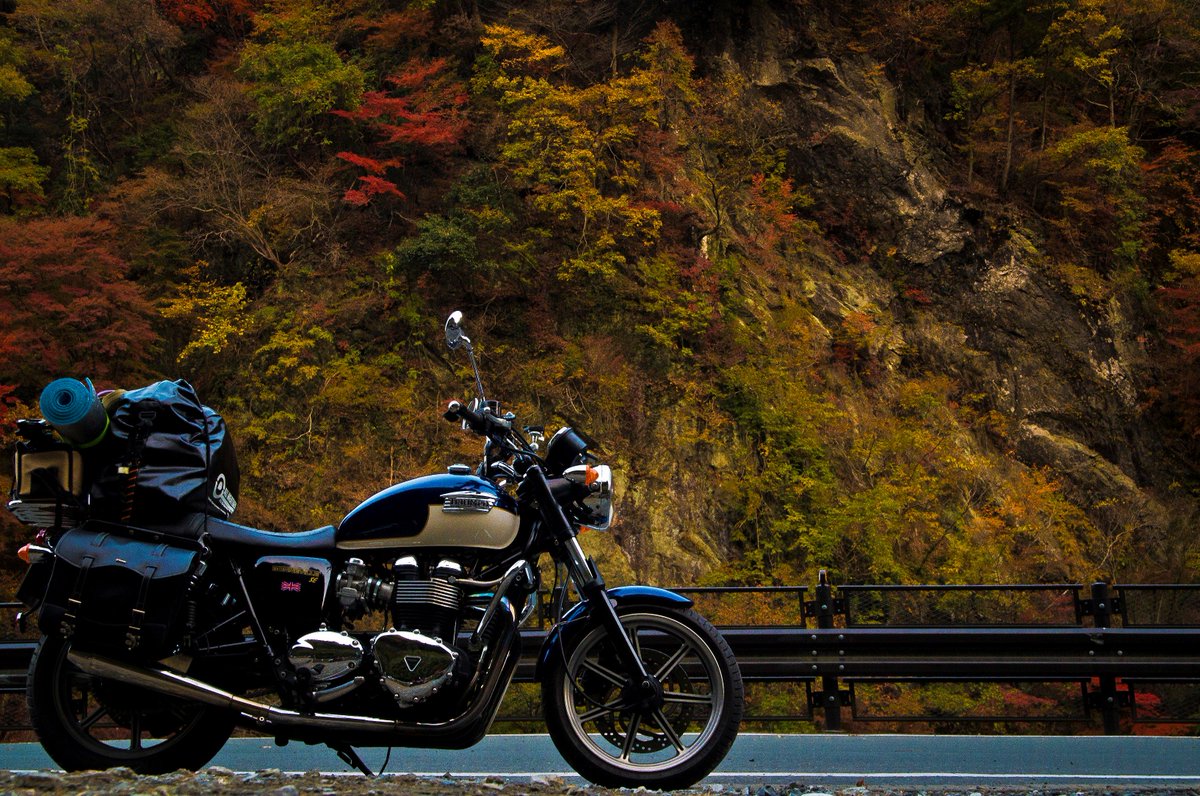 shinshifuku_bon's tweet image. #TRIUMPHが美しい