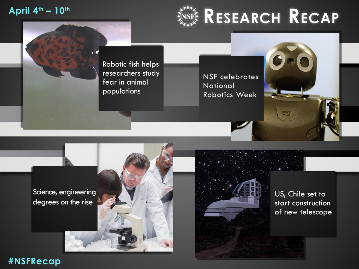NSF's tweet photo. Robots, telescopes and a rise in #science &amp; #engineering degrees: It's our latest #NSFrecap! #NSFfunded http://t.co/cqzJoq5ijB