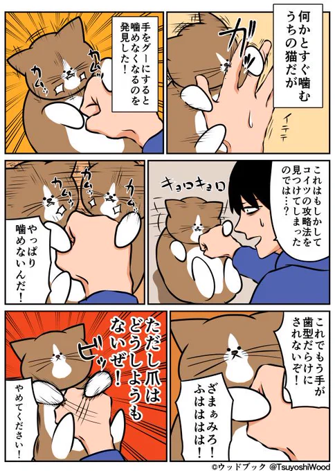 【漫画日記】真似しないでください 