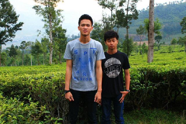 Kebun teh yang hijau tadi sore #ShowYourColors @AmoticonID <a href="/Kikik26/">Hakiky Mohammad Akbar</a>