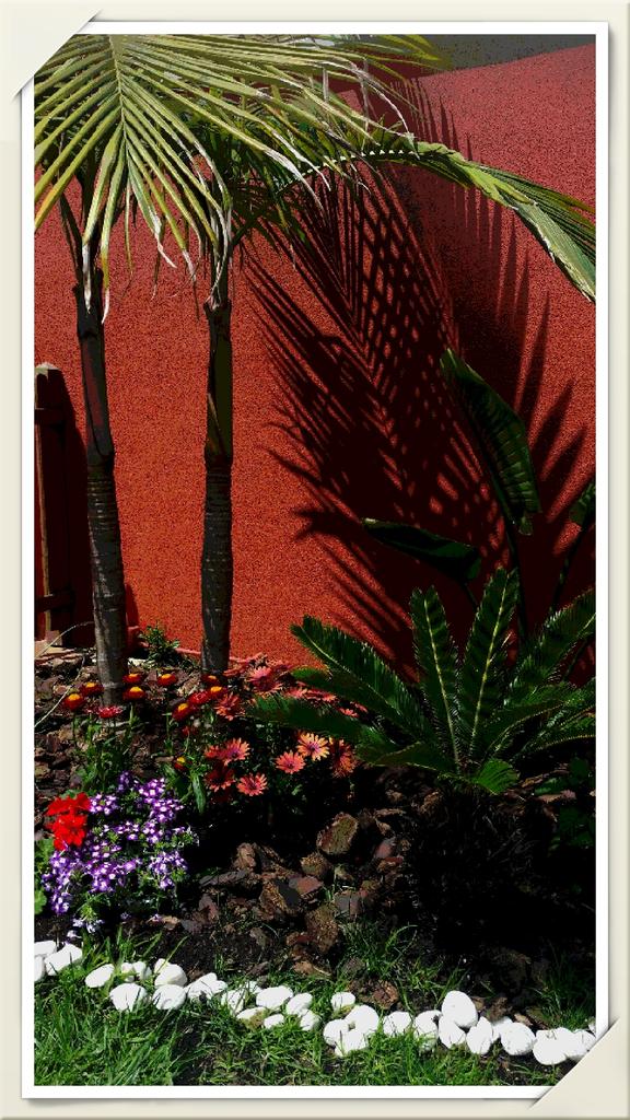 MontseAgro's tweet photo. Little garden http://t.co/yj38xEk3Ps