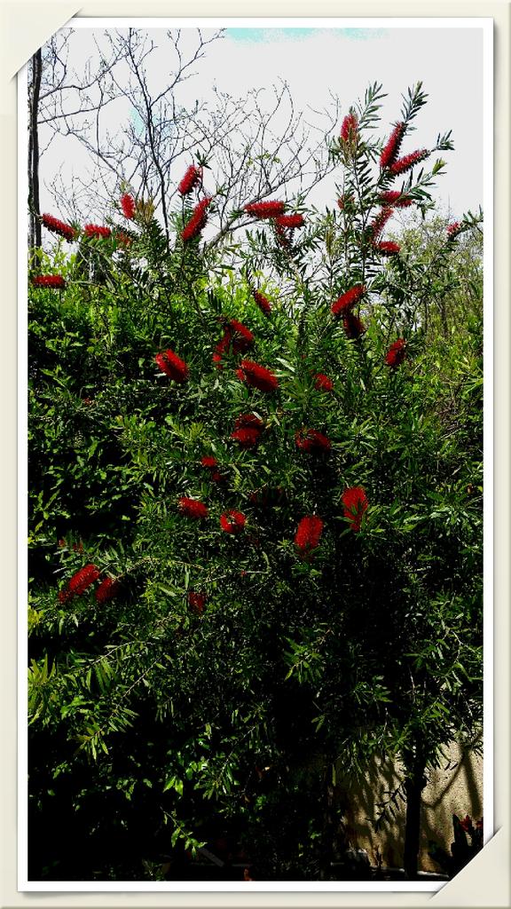 MontseAgro's tweet photo. Little garden http://t.co/yj38xEk3Ps