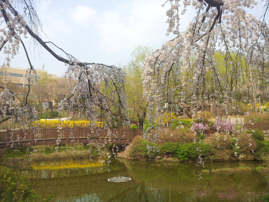 JK입니다 tweet media