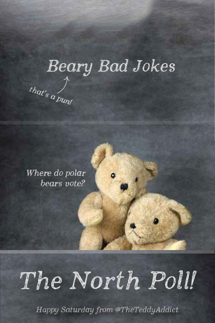 TheTeddyAddict's tweet photo. "Where do Polar Bears vote?" #teddybear #jokes http://t.co/avYYmgEfQM