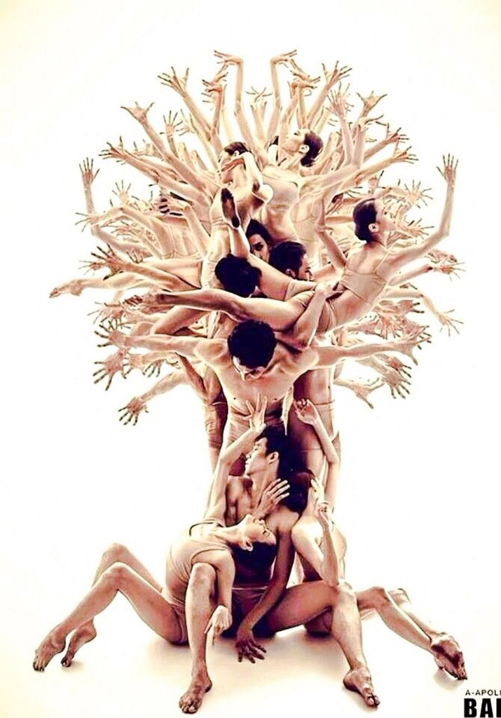 andri_prawidya's tweet image. Olah digital. :D "@arbainrambey: Asli atau hasil olah digital hayo.....#useyourlogic http://t.co/a3HPpDTP2y"