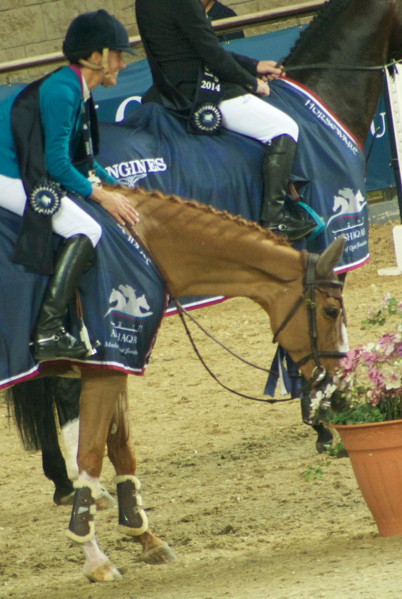 CatherineMonk1's tweet photo. Some fantastic pics of the lovely #LucianaDiniz at @GCT_events #Doha2014 all by my friend @vickyjkelly . Amazing!:) http://t.co/gijTTrCBWz