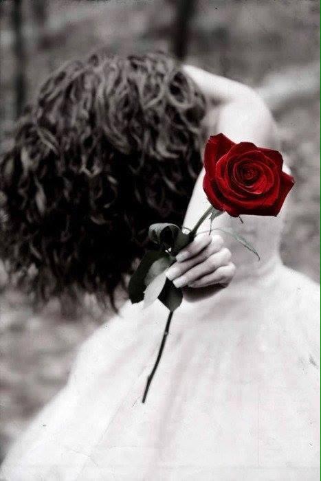 أشعر وكأن لون الوردةِ التي 
تتوق الى صاحبها ..!!

تريد أن تنطق لي شيئا ..!!